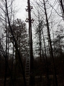 Alle Plattformen sind fast fertig und die Arbeiten zum Aufbau der neuen Elemente laufen auf Hochtouren