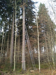 Kletterwald München, die Klettergarten-Baustelle in Grünwald