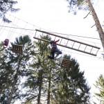 kletterwald-muenchen-hangelleiter